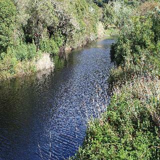 Hotel Blackwaters River Lodge