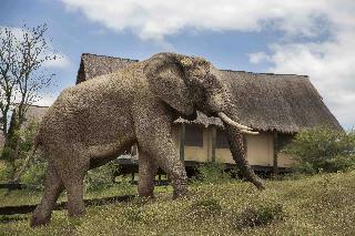 Hotel Gorah Elephant Camp