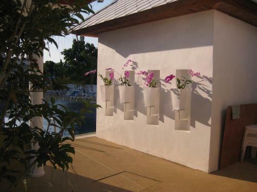 Aparthotel Nadivana Serviced Apartments