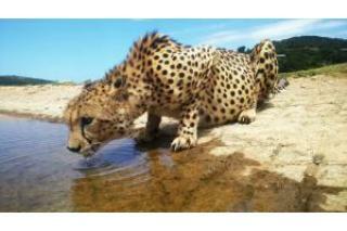 Hotel Hopewell Private Game Reserve