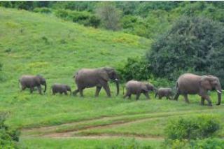 Hotel Hopewell Private Game Reserve