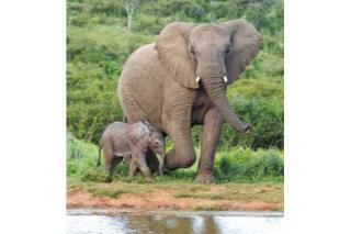 Hotel Hopewell Private Game Reserve