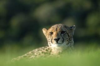 Hotel Hopewell Private Game Reserve