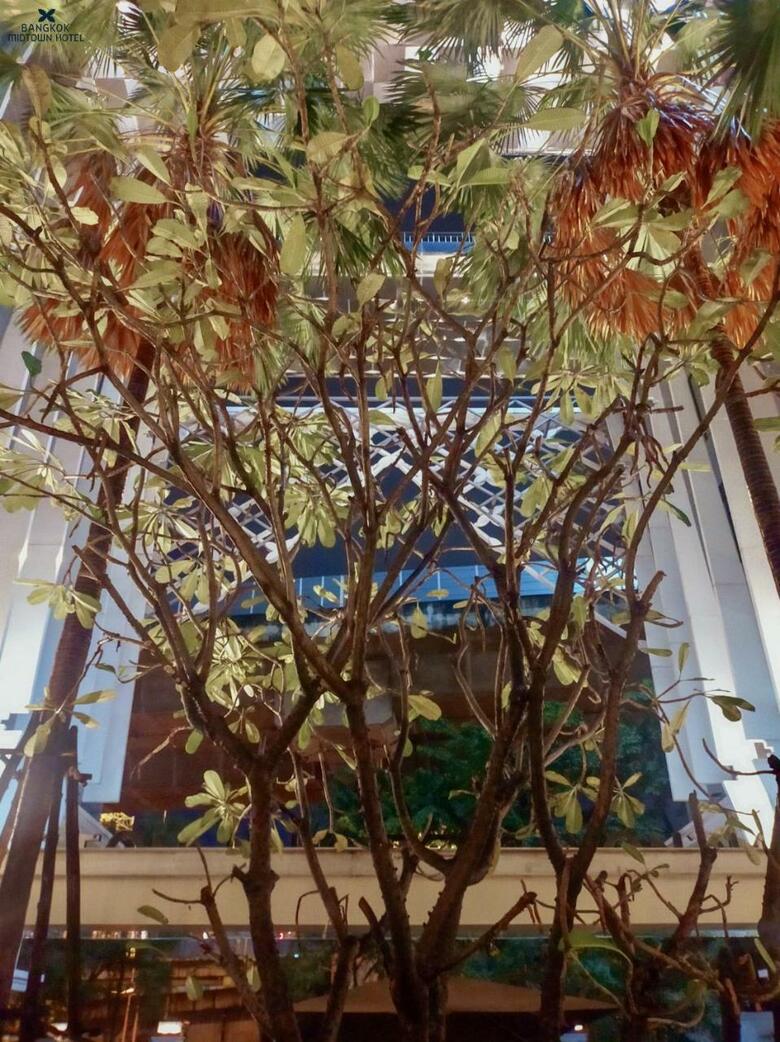 Bangkok Midtown Hotel