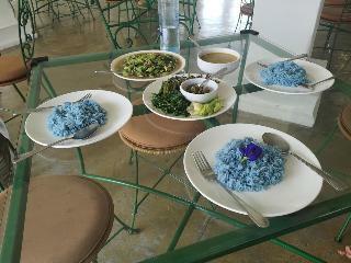 Hotel Amaravati Wellness Resort