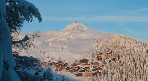 Hotel Slalom