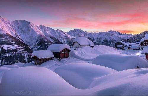 Chalet Tannenduft