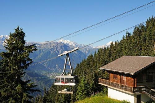 Apartamentos Alpenhaus Bettmeralp