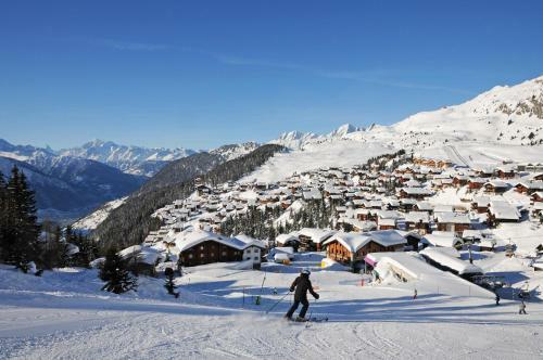 Chalet Trollius
