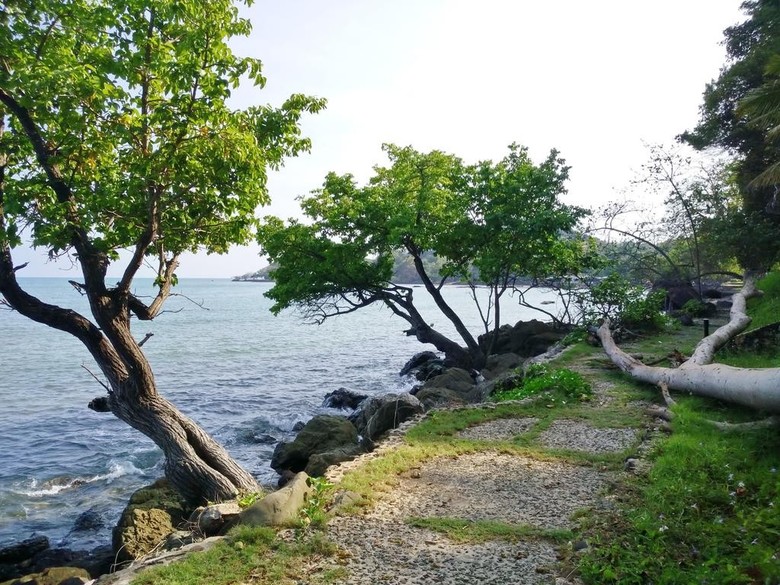 Hotel Hinsuay Namsai Resort