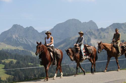 Hotel S�renberg