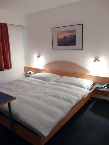 Hostal Hotel Garni Domino