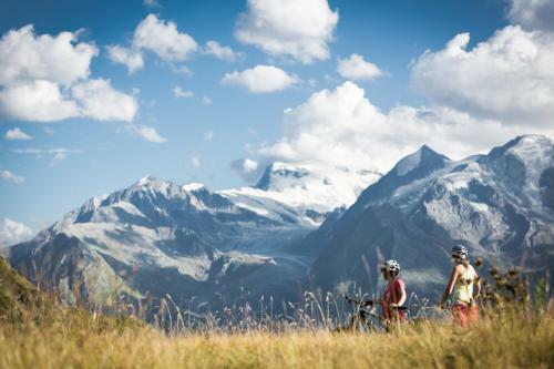 Hotel La Cord�e Des Alpes