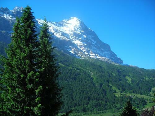 Apartment Casa Almis Grindelwald