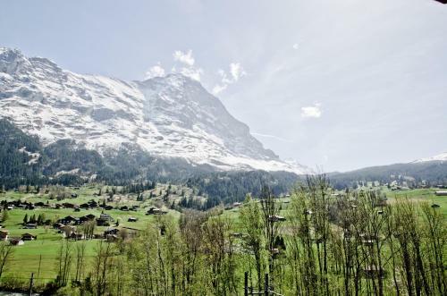 Apartment Eiger - Griwarent Ag