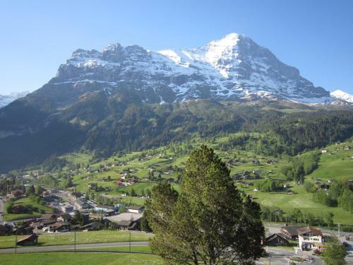Apartamentos Chalet Aiiny