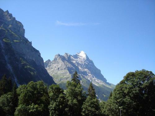 Hotel Wetterhorn