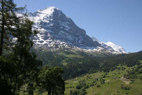 Apartamentos Chalet B�rgb�chli