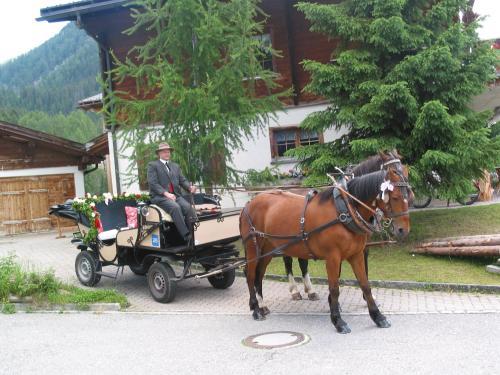 B&B Haus Im Sand