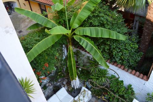 Caff� Dell'arte Boutique Bed And Breakfast