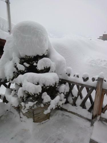 Bed & Breakfast Lehmann's Herberge