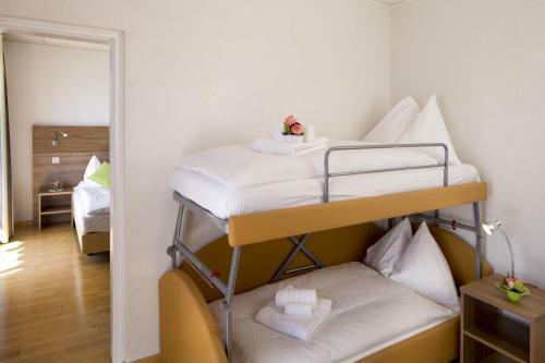 Garten Hotel Dellavalle