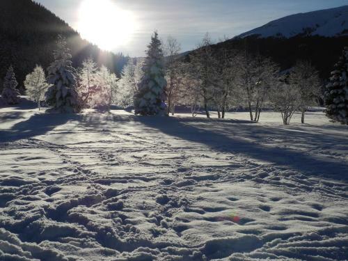 Bed & Breakfast Shima-davos