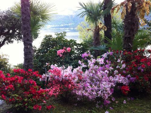 Hotel Garni Rivabella Au Lac