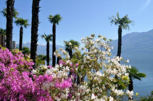 Hotel Garni Rivabella Au Lac