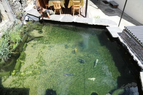 Hostal Hotel Garni Morettina