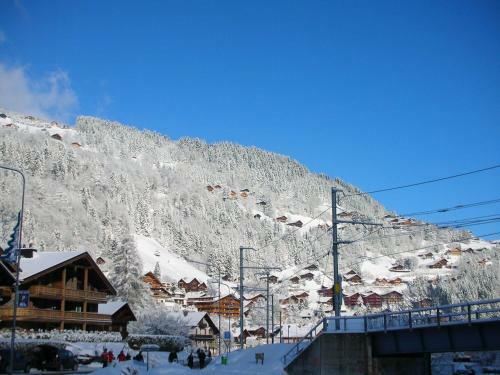 Albergue Backpacker Le Petit Baroudeur