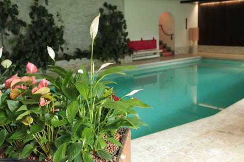Haus Holiday