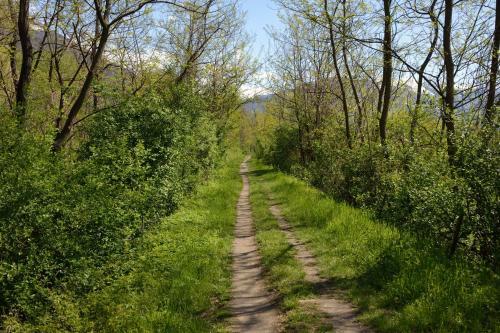 Apartamentos Casa Grappalino