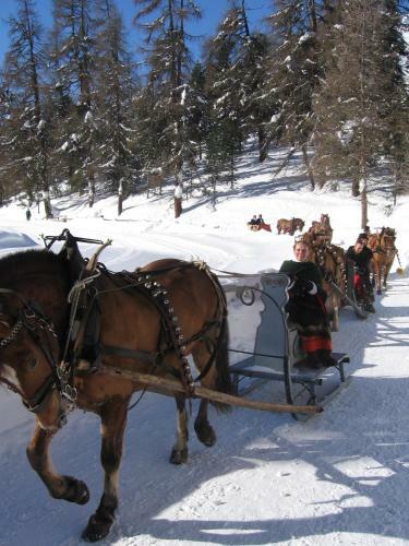 Hostal Hotel Pension S�som Surlej