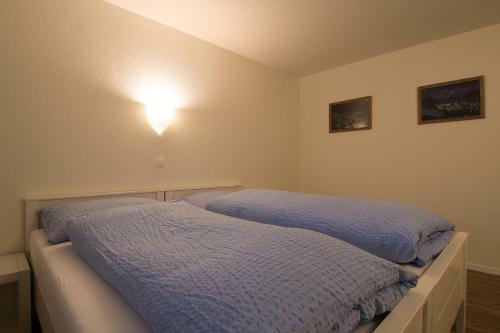 Apartamentos Chalet Soldanella