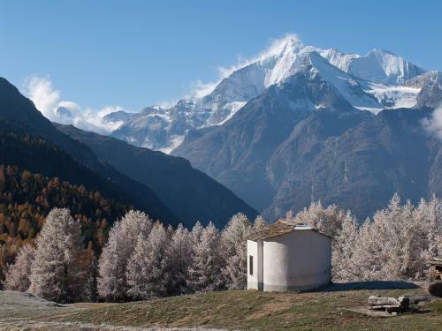 Apartamentos Chalet Soldanella