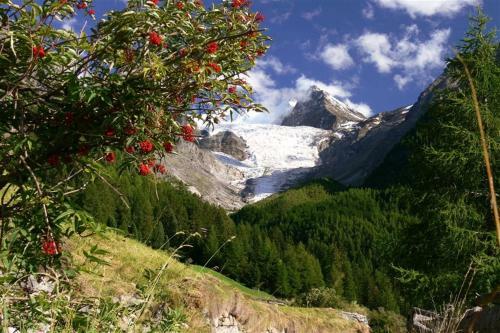 Hotel G�di
