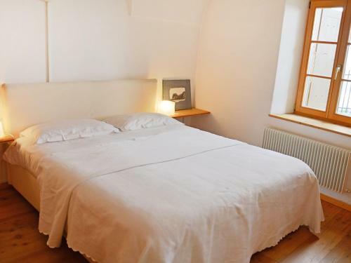 Apartment Samedan