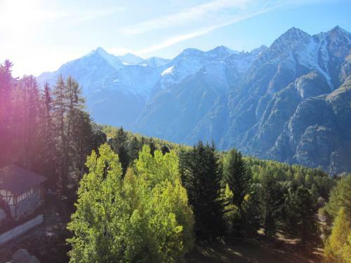 Apartamentos Waldheim