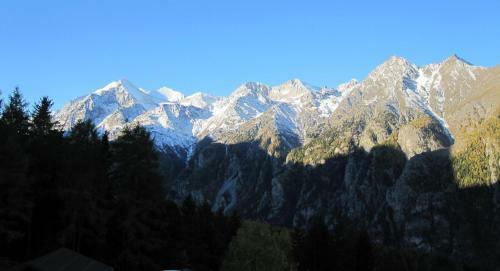 Apartamentos Waldheim