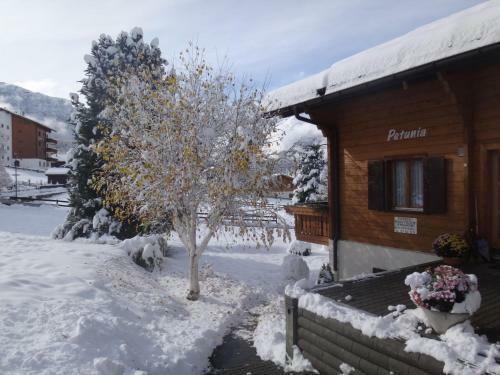 Apartamentos Chalet Petunia