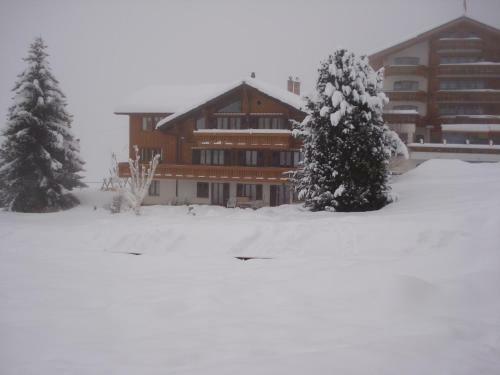 Apartamentos Chalet Petunia