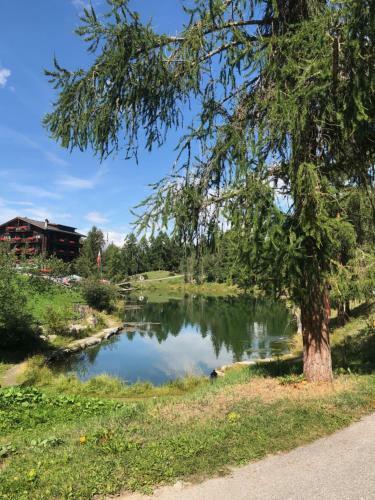 Apartamentos Chalet Petunia
