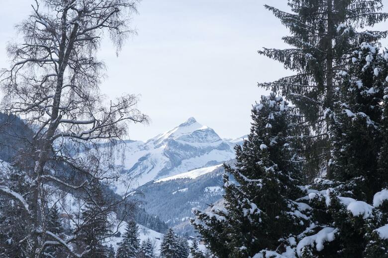 Hotel Gstaad Palace