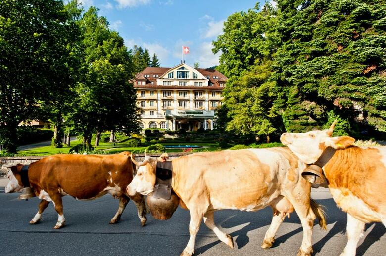 Hotel Le Grand Bellevue