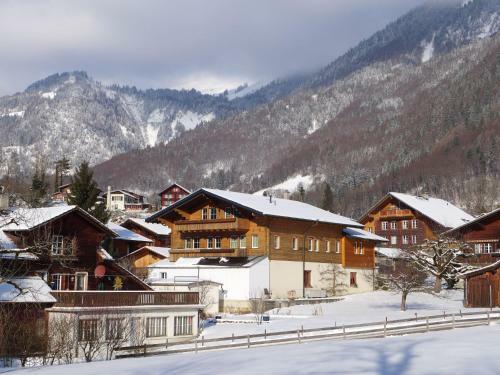 Apartment Oeltschiblick Brienzwiler