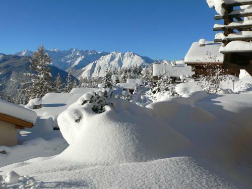 Apartment Fennec Verbier