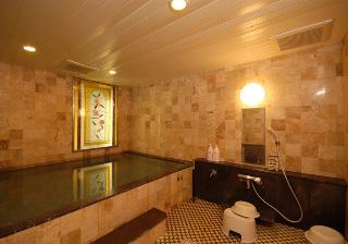Ashinoko Ichinoyu Hotel