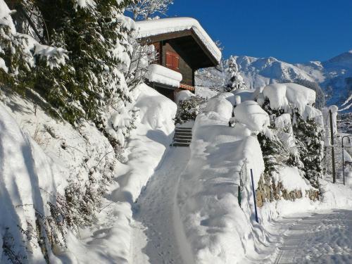 Chalet Ch�teau Lapin
