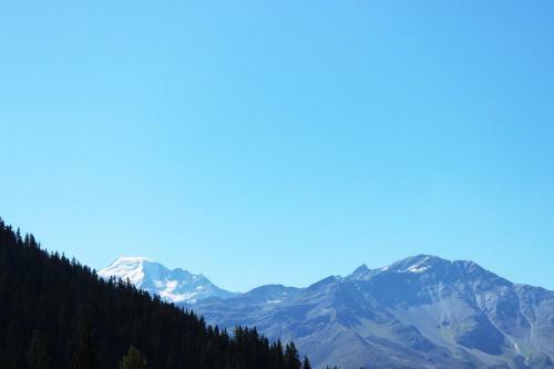 Hotel Les Chamois